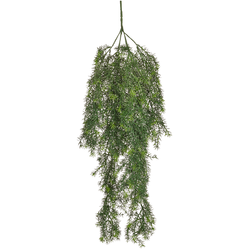 Aspergevaren