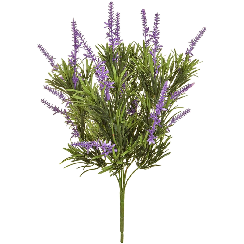 Lavendel