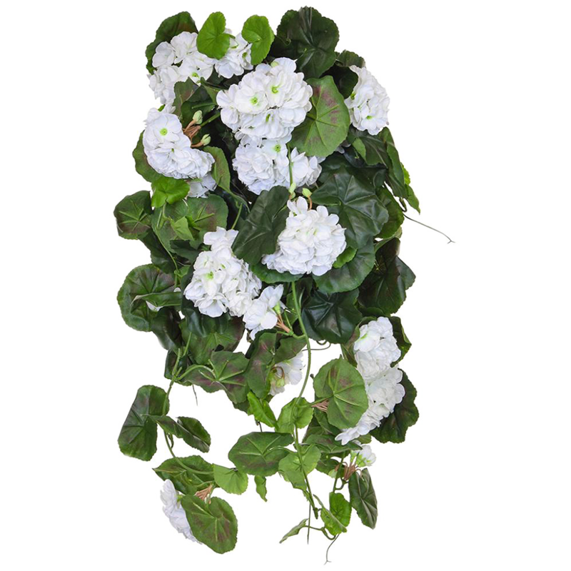 Geranium Wit