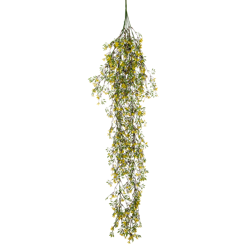 Gele Hangplant