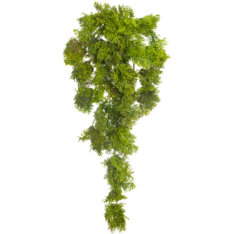 Rendiermos Hangplant