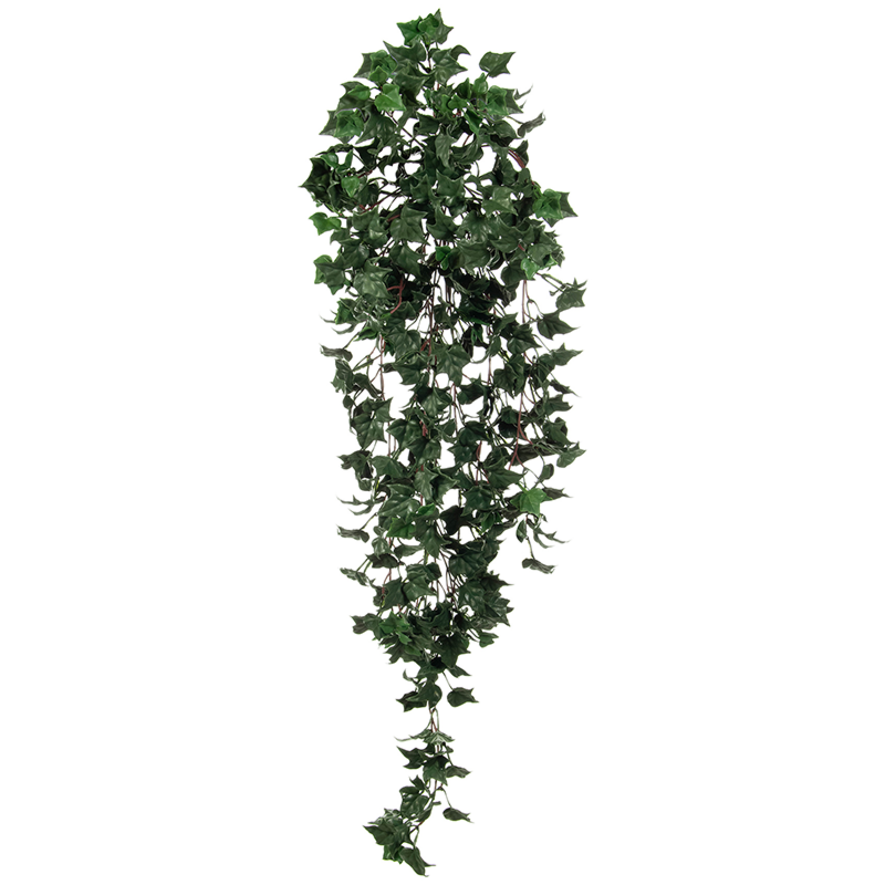 Klimop