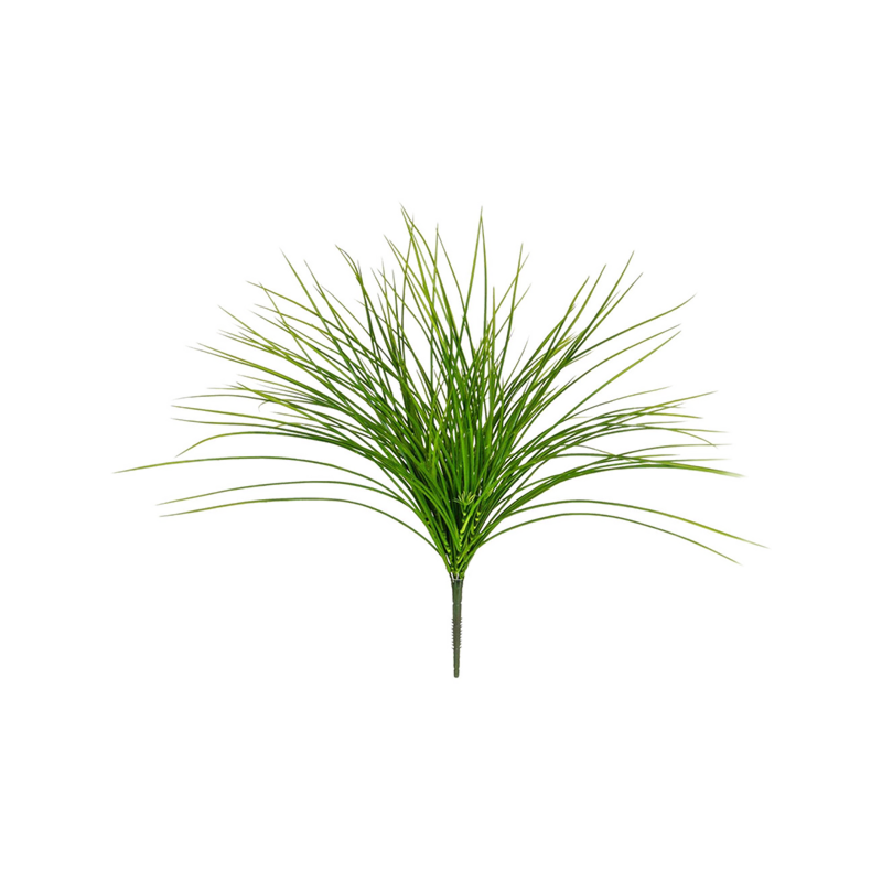 Gras