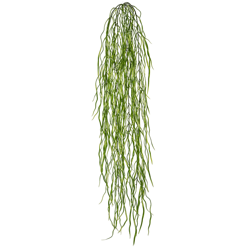 Hangend Gras
