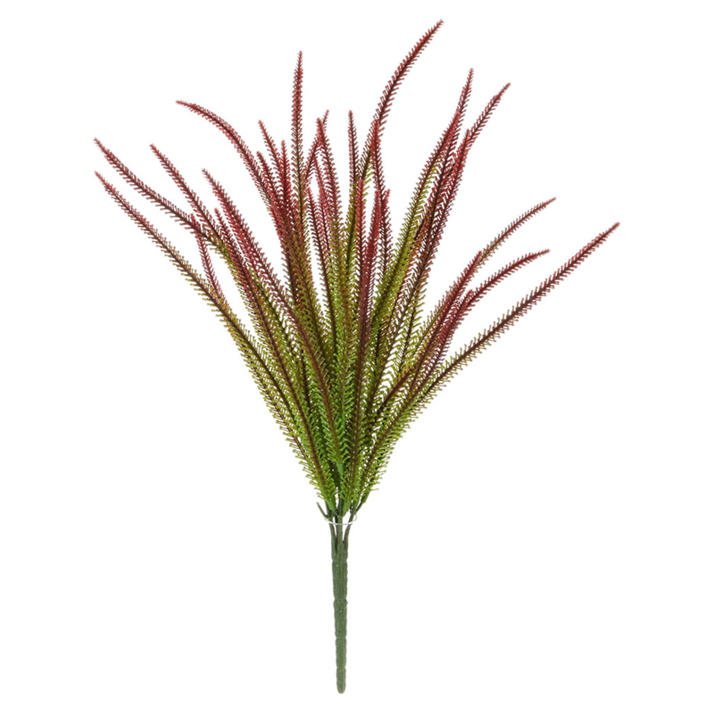 Gras