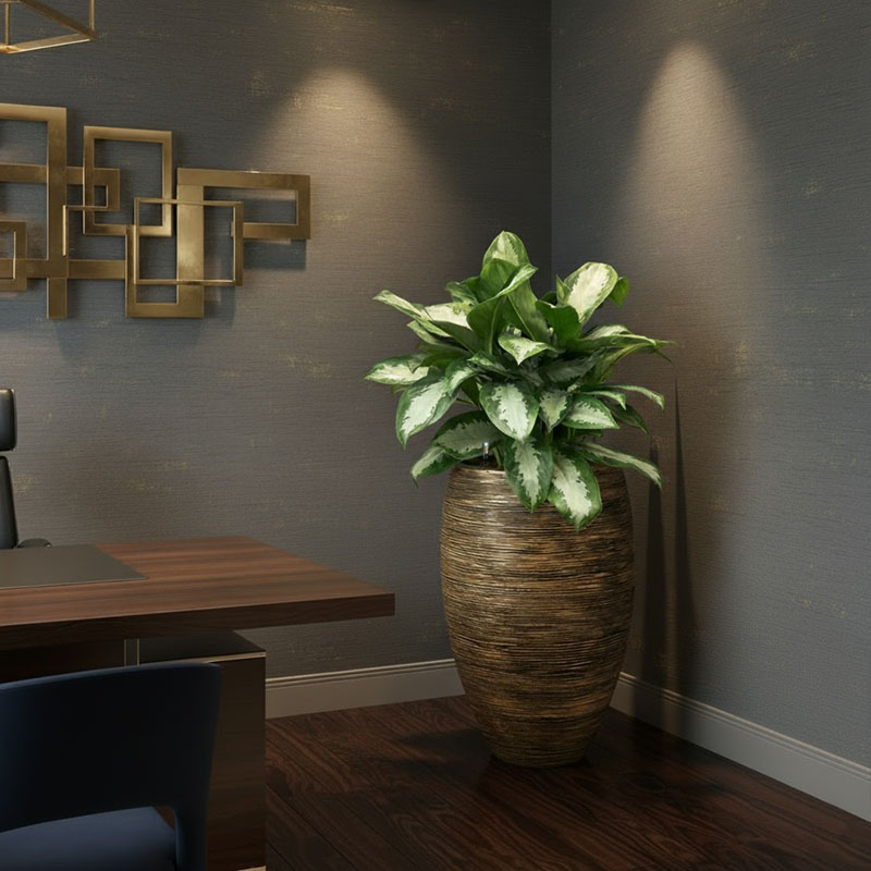 groene plant op kantoorruimte