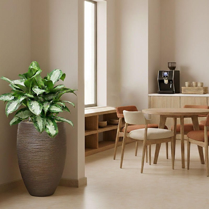 groene plant in kantine kantoor