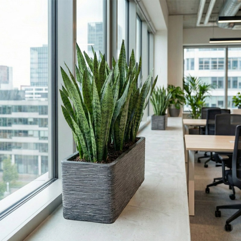 Bak rechthoek Rib Capi plantenbak antraciet