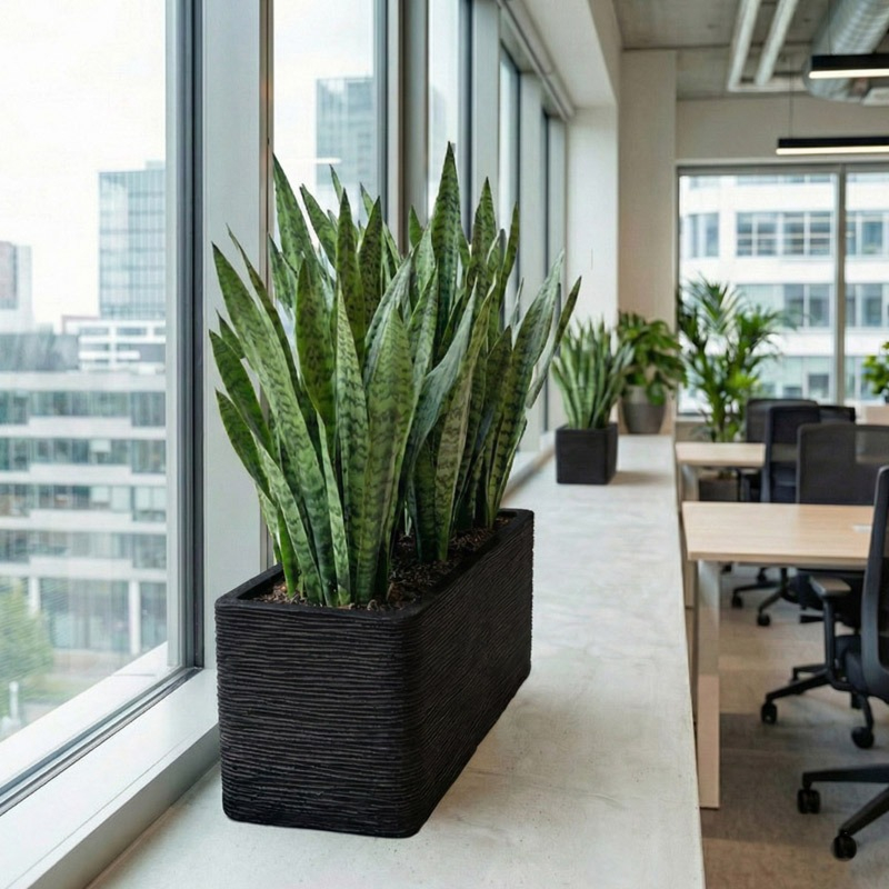 Bak rechthoek Rib zwart capi binnen en buiten