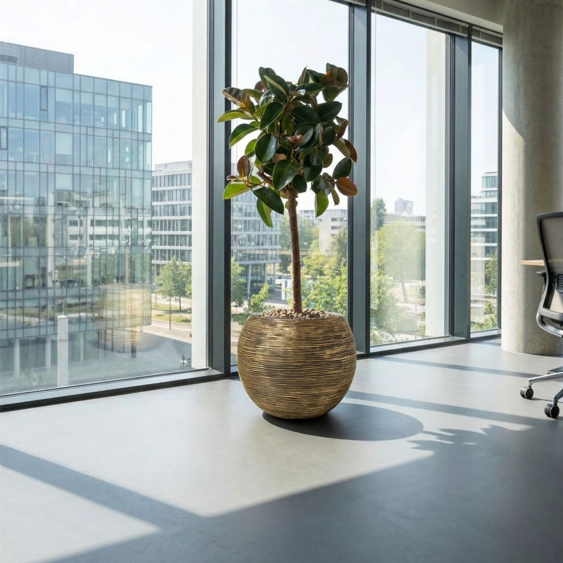 capi rib gouden bloempot kantoorbeplanting 