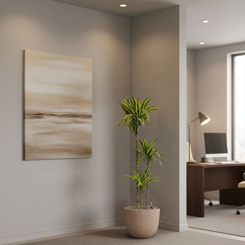 Dracaena plant op kantoor