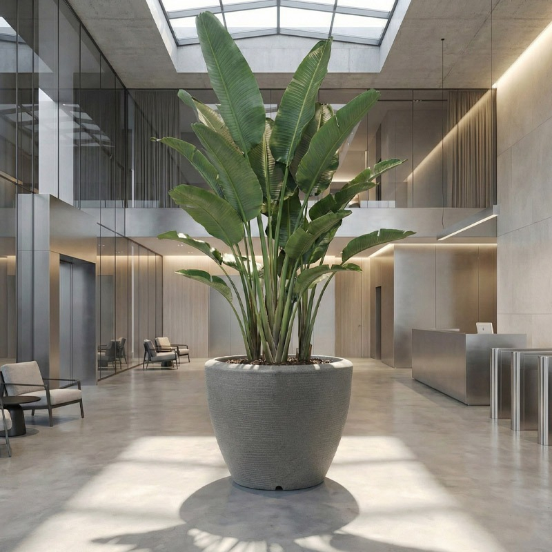 extra grote bloempot capi antraciet kantoorbeplanting 