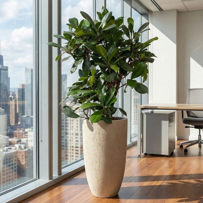 groene plant op kantoor