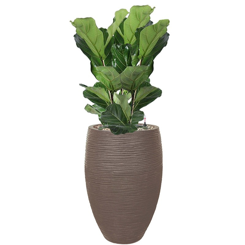 Lyrata taupe kantoorbeplanting waterreservoir