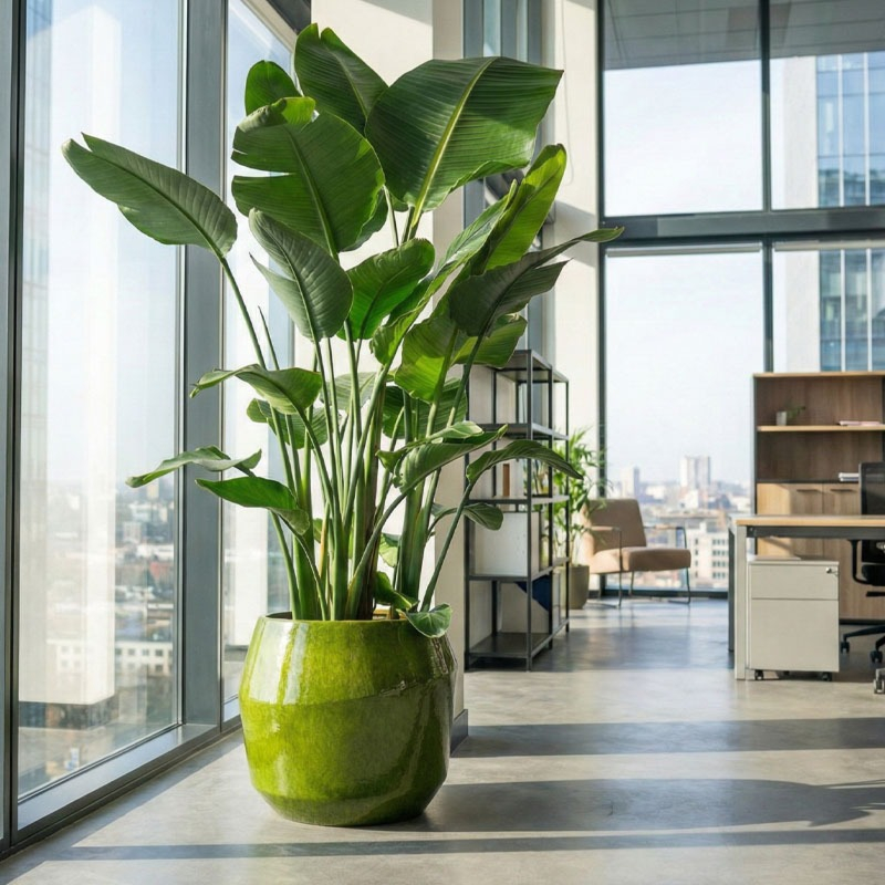 grote bloempot kantoorbeplanting keramiek