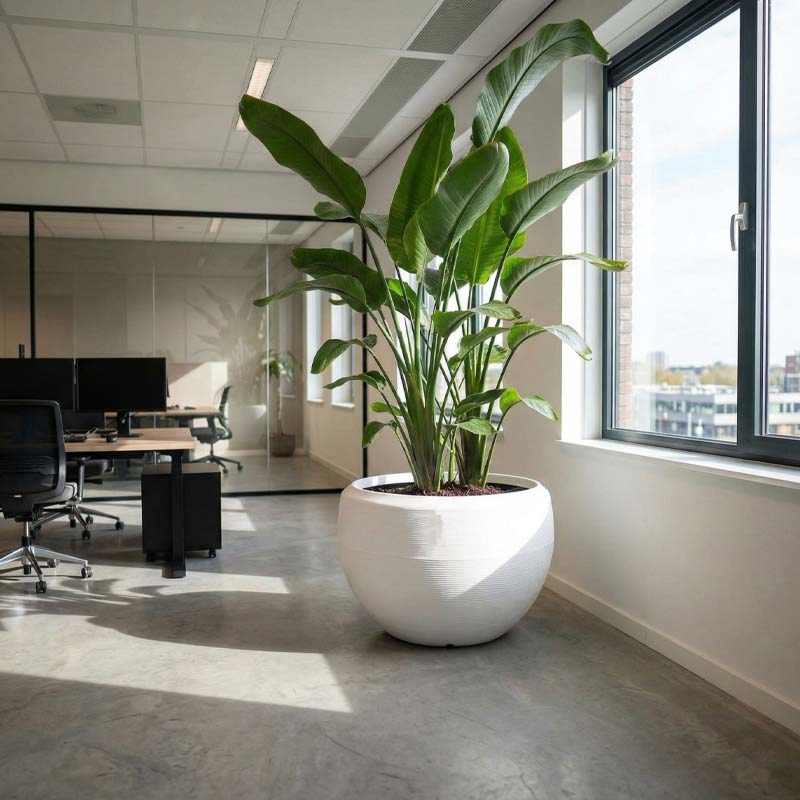 grote bloempot wit capi kunststof