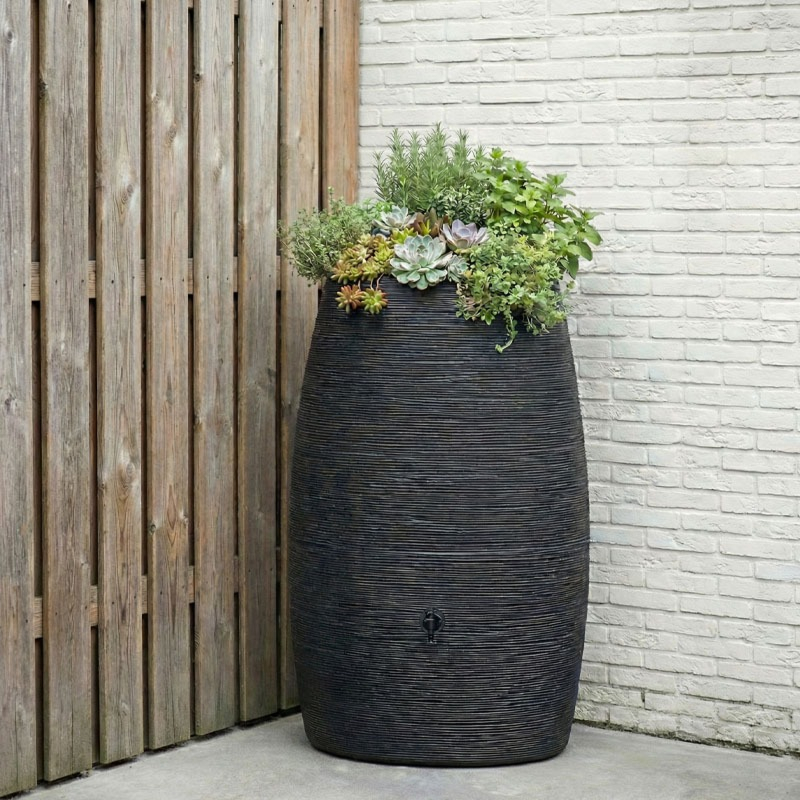 grote regenton in de tuin Capi