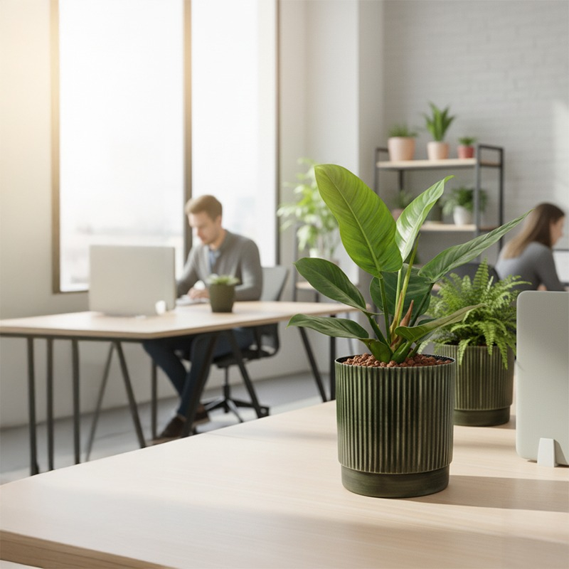 Interieurbeplanting in groene plantenbak, Philodendron Imperial Green op hydrocultuur