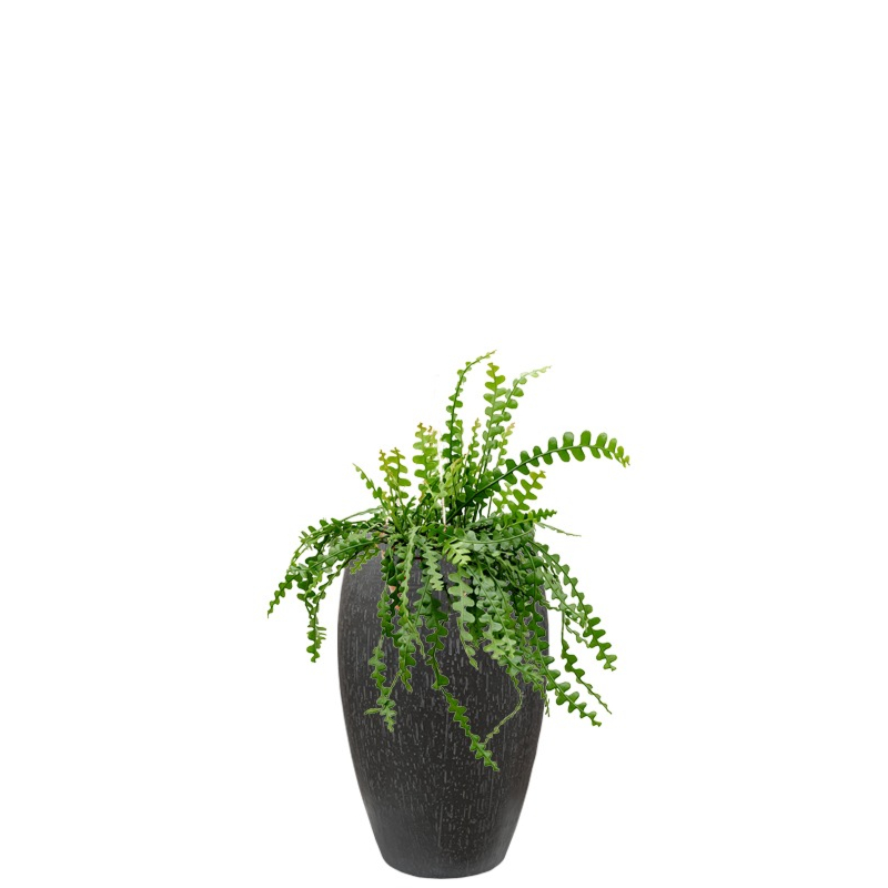 kantoorplant in antraciet hoge bloempot