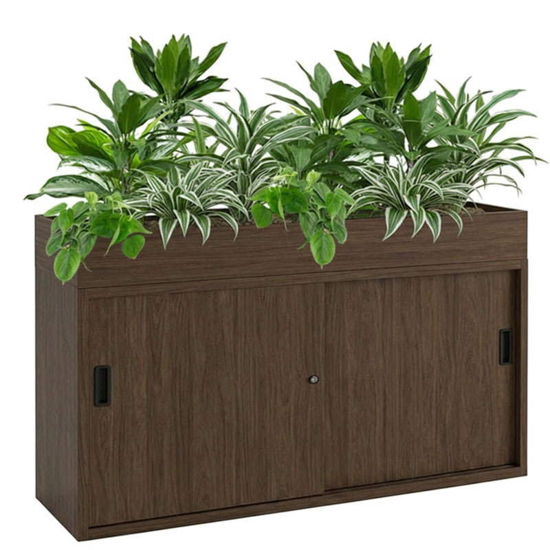 planten op kast voor kantoor