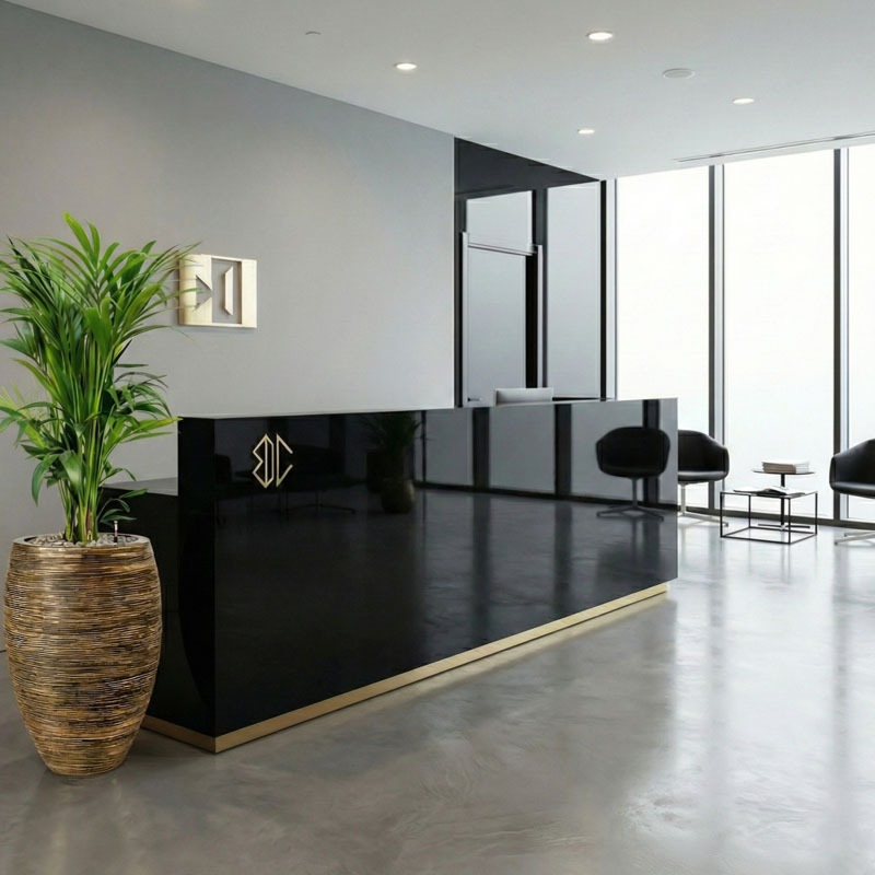 Groene kentia palm op kantoor