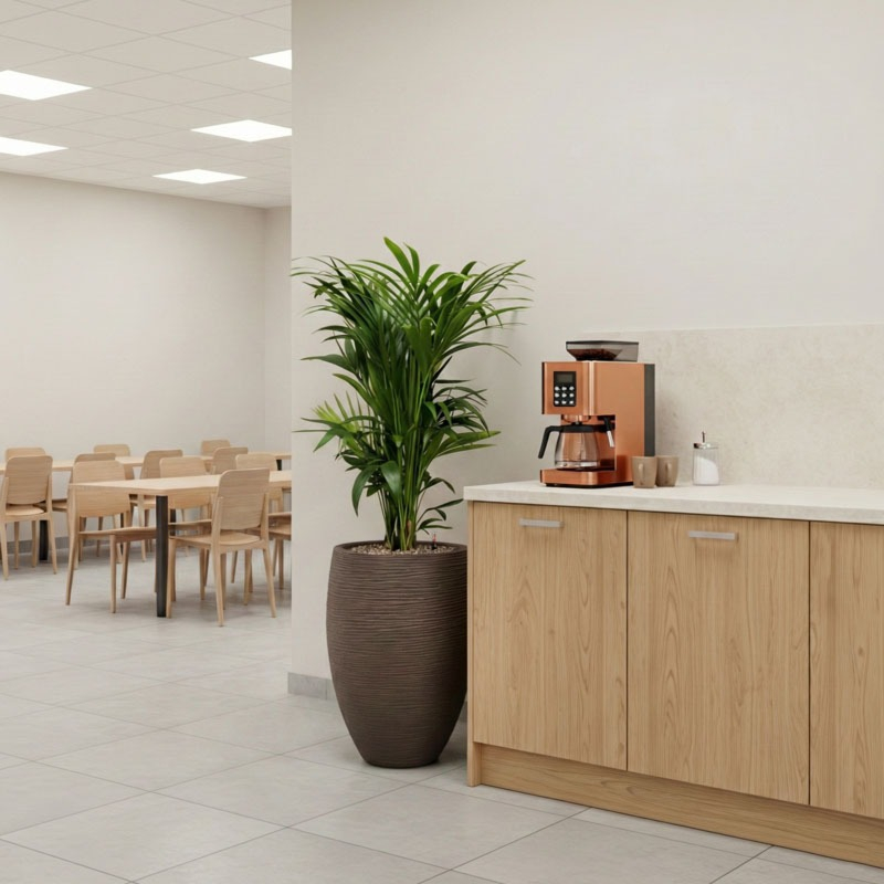 Groene palm kantoorbeplanting