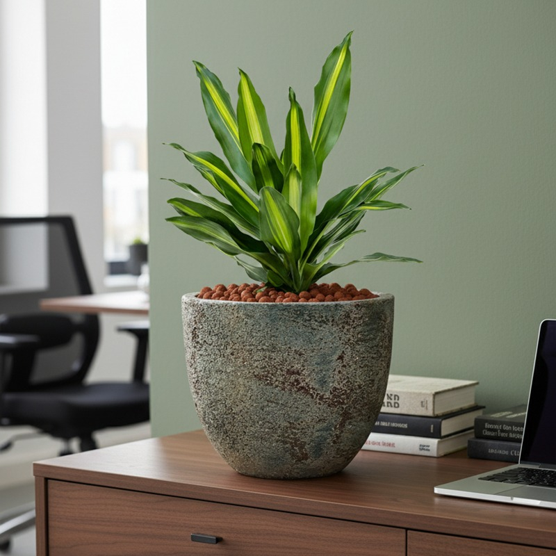 kleine dracaena met gele strepen in het groene blad