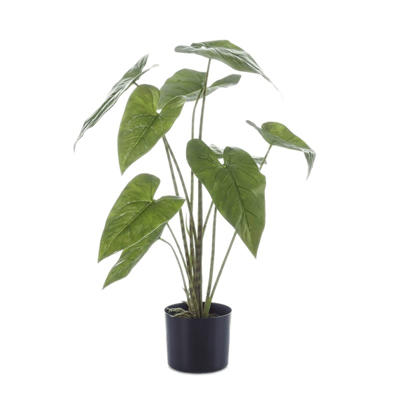 kunstplant alocosia zebrina