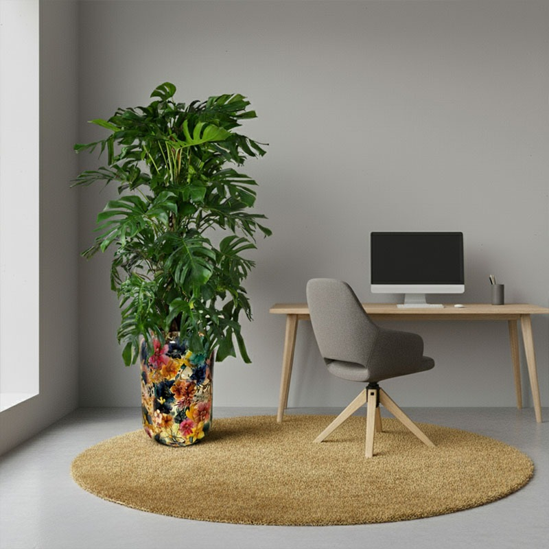 Grote kantoorplant met grote bladeren