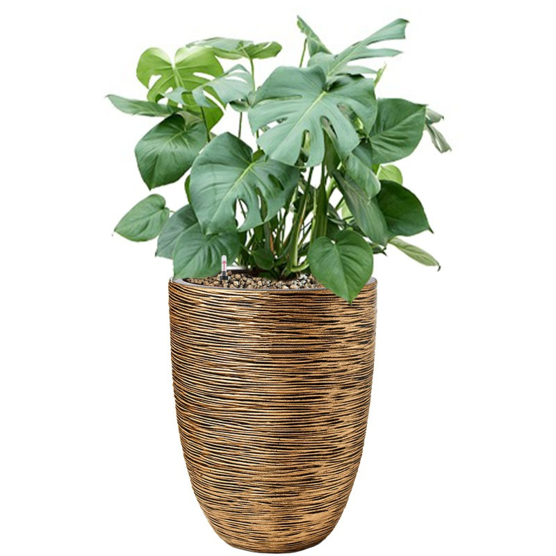 Monstera in capi pot goud