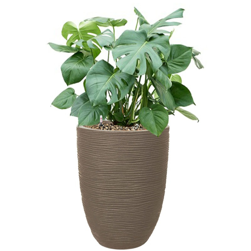 Monstera in capi pot taupe
