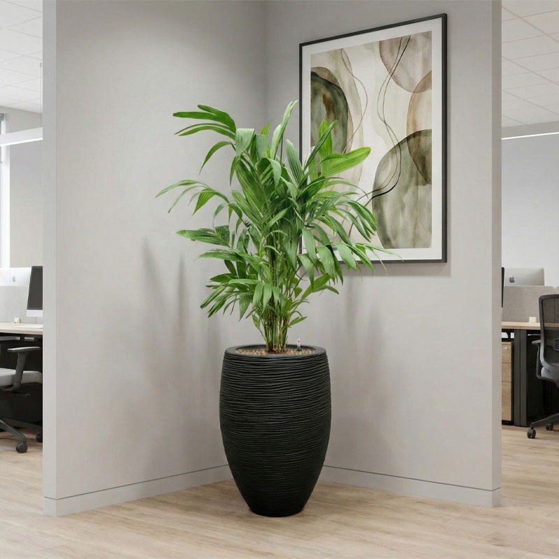 palm in hoge zwarte pot makkelijk onderhoud