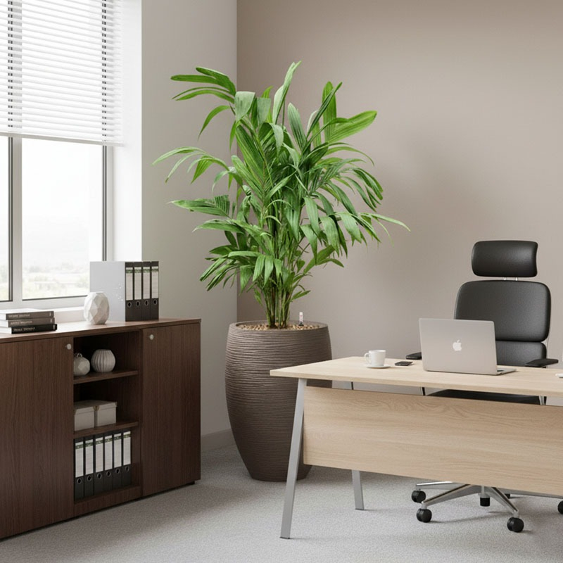 Groene palm in kantoor