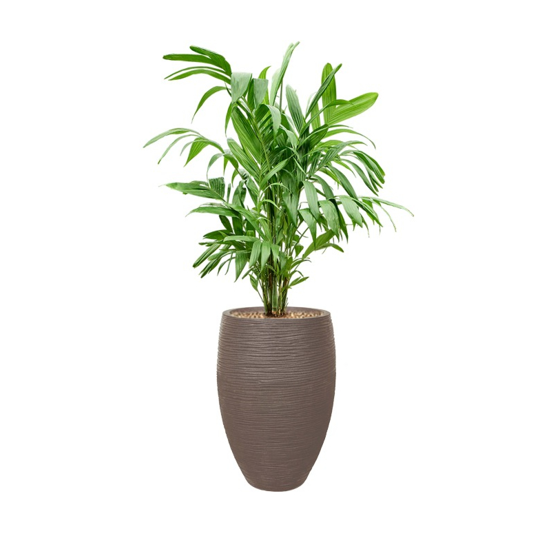 palm in capi rib pot taupe