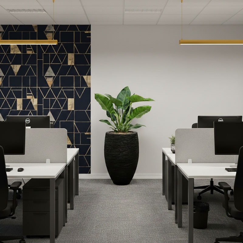 plant op kantoor philodendron