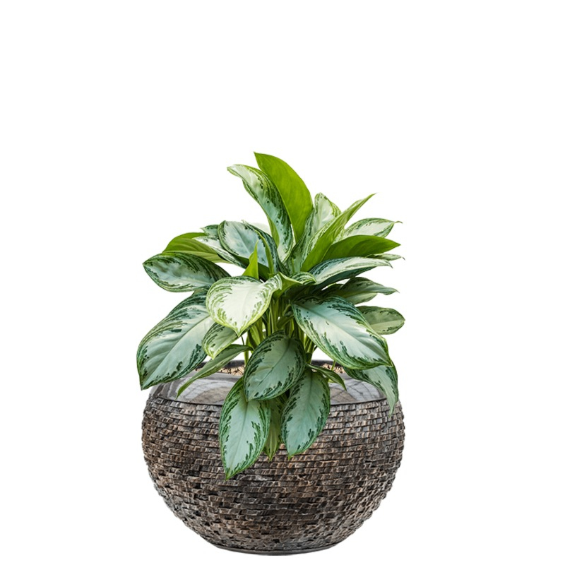 luxe pot met kantoorbeplanting