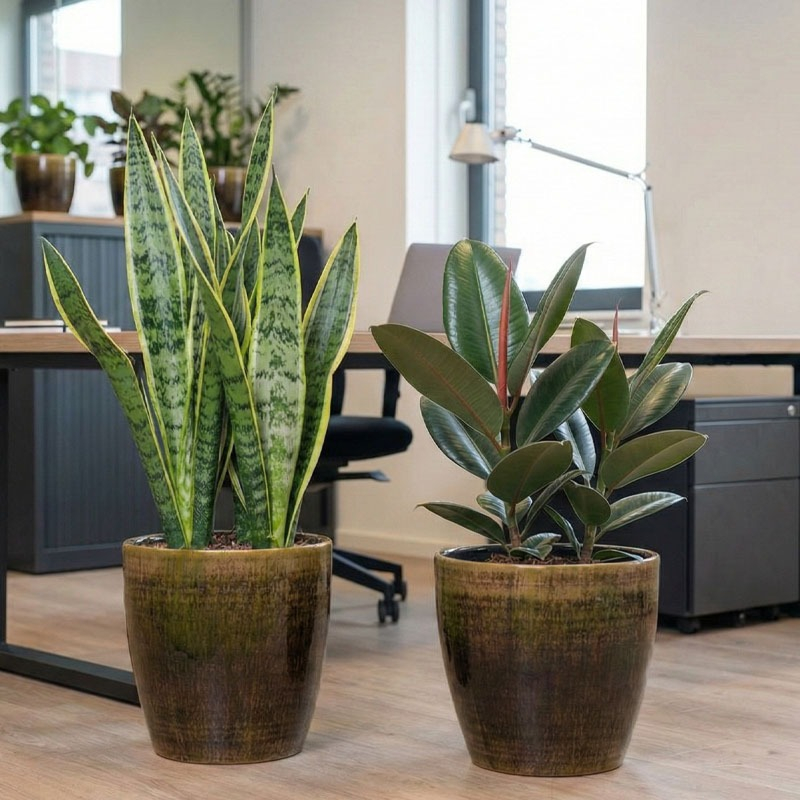 Pot Alisa goud kantoorbeplanting ts collection