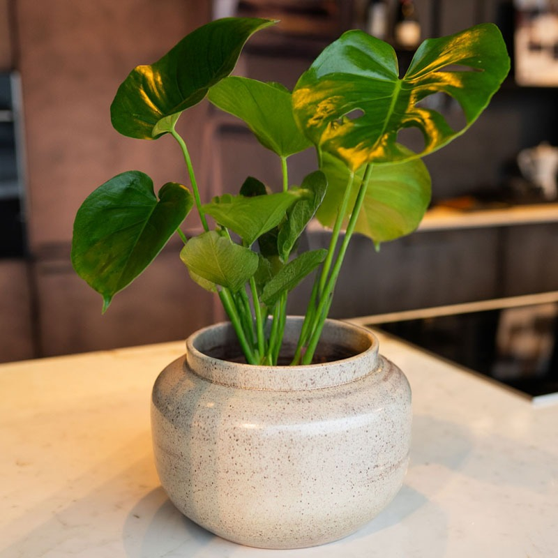 Pot Rocky latte pot keramiek