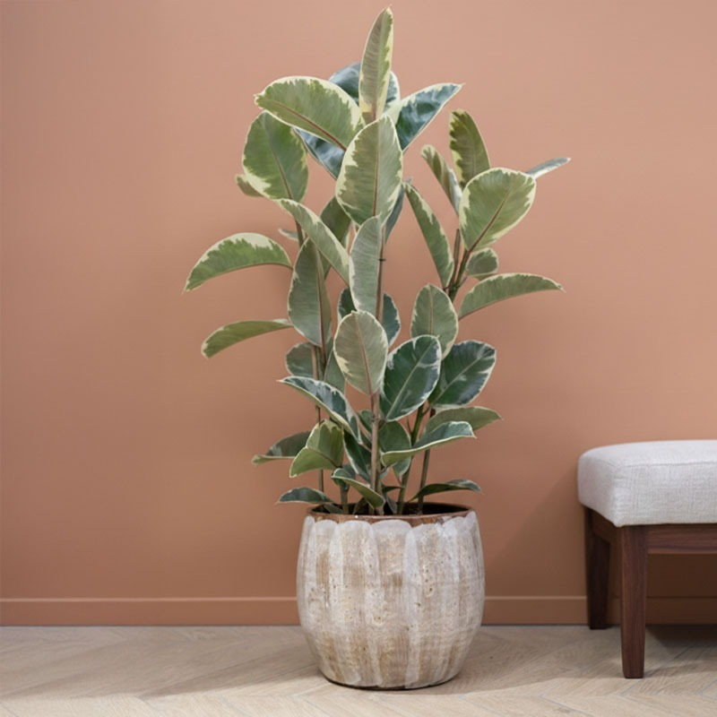 Pot Suus latte beige keramiek ts collection