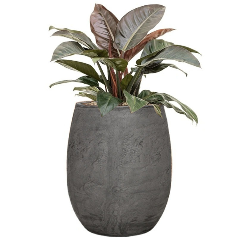 grijze algar pot met rode plant