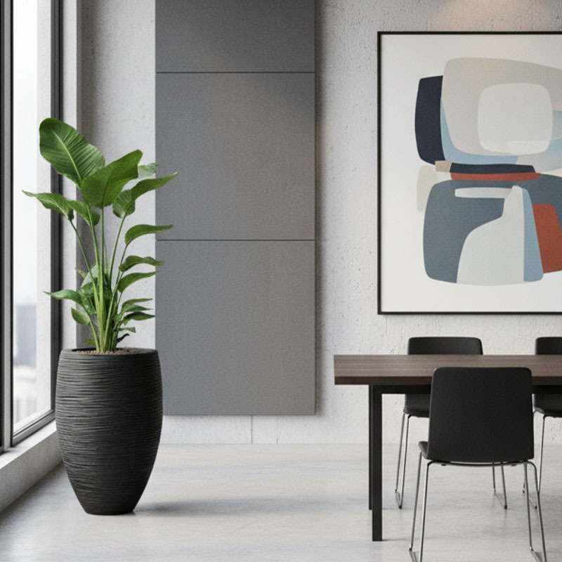 Strelitzia in Capi pot (4x/jaar water)