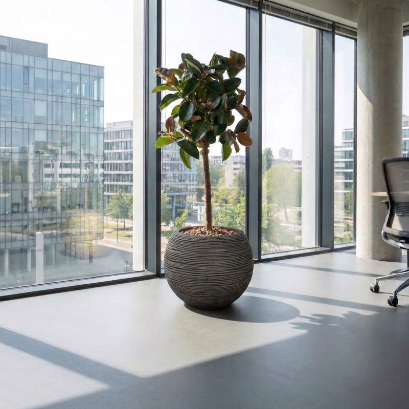 Vaas bol Rib capi antraciet pot