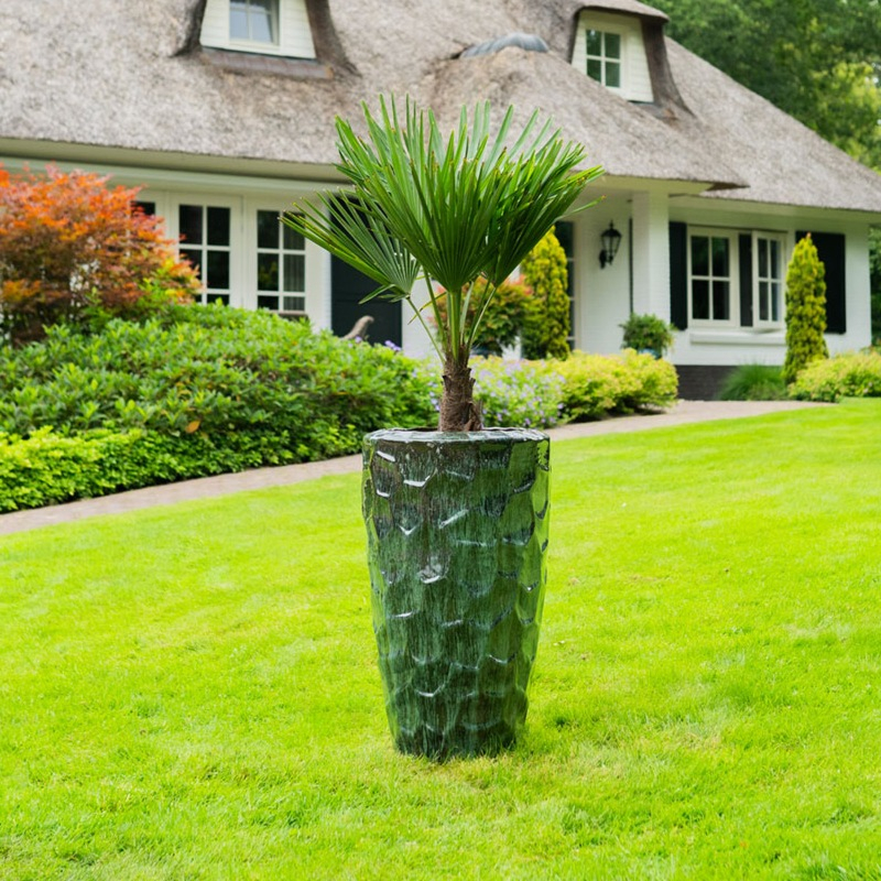 Vaas Cascara hulst groen