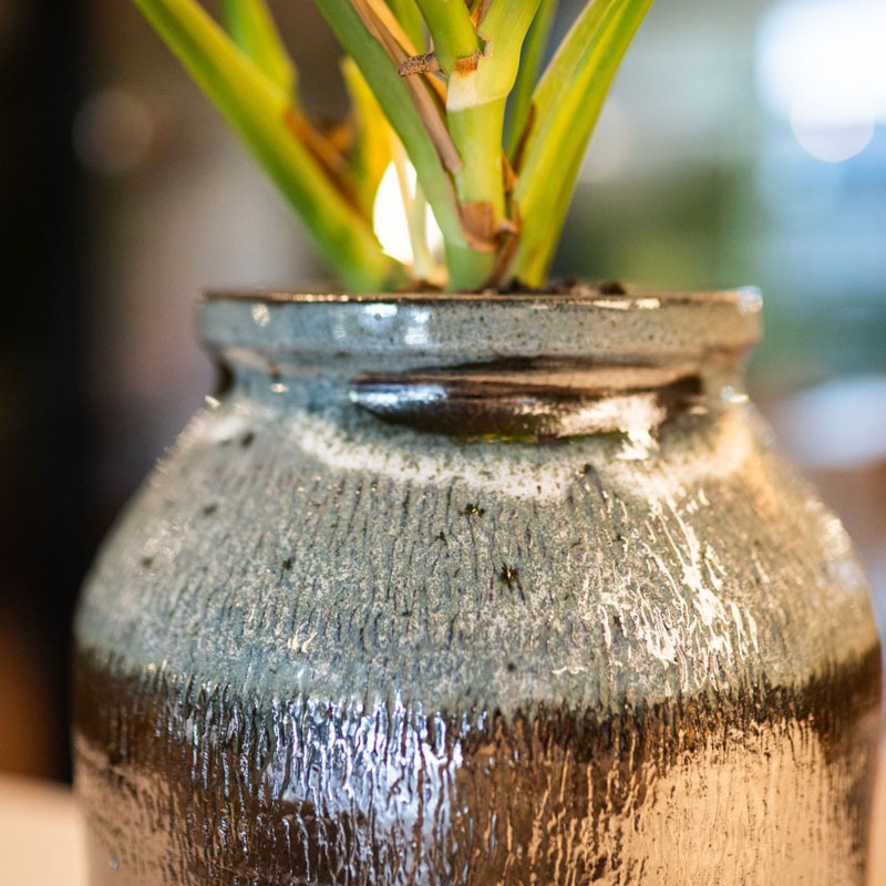 vaas hoog Vita ts collection