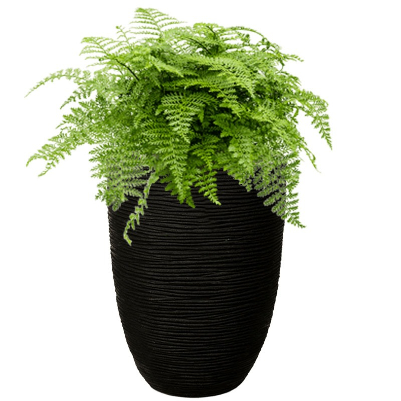 varen in capi plantenbak zwart