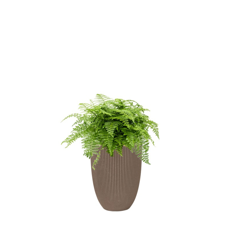 varen in capi plantenbak taupe