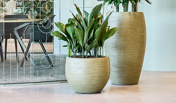 baq dune groen 2 modellen