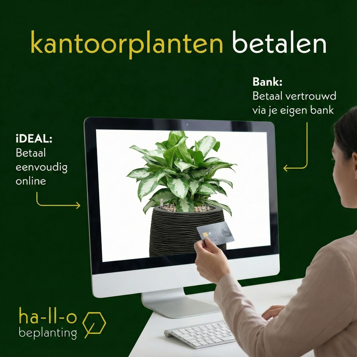 kantoorplanten online bestellen