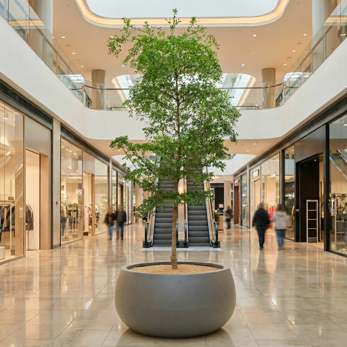 bucida winkelcentrum bucida winkelcentrum