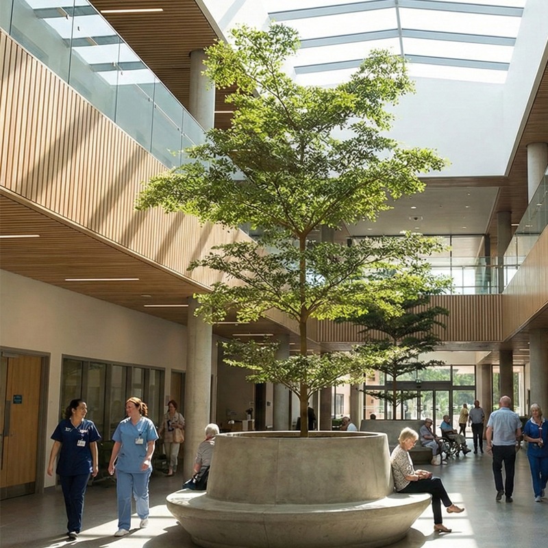 bucida in ziekenhuis met licht van boven bucida in ziekenhuis met licht van boven